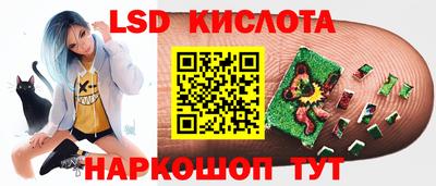шишки Лесосибирск
