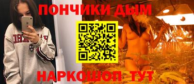 шишки Лесосибирск